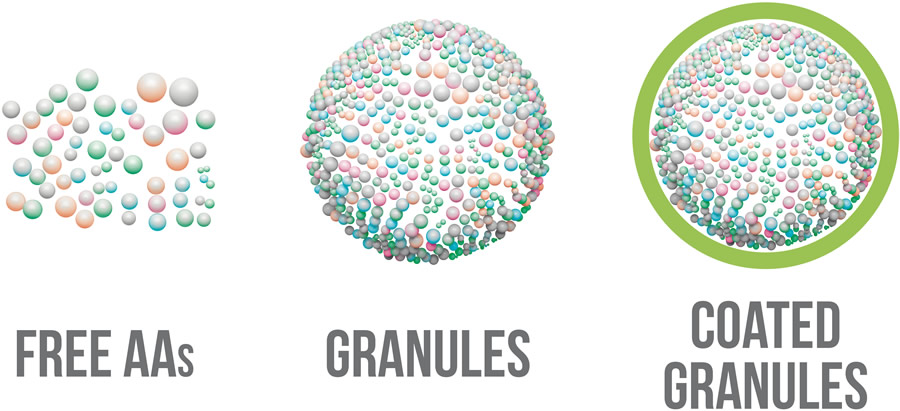 Coated granules
