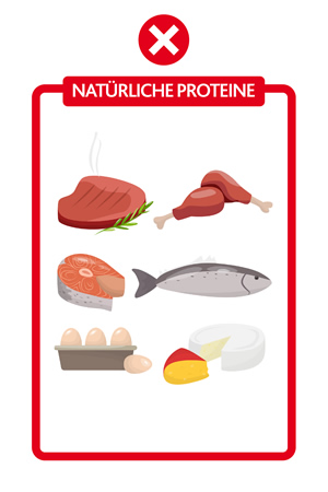 Übersicht der Ernährung bei PKU - Naturliche Proteine