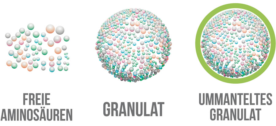 Granulations- und Beschichtungsprozess der Physiomimic Technology